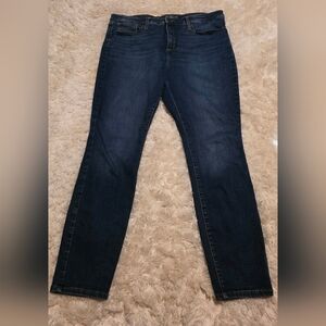UNIVERSAL THREADS High Rise Denim Blue Women's Skinny Jeans Sz. 16/33×28